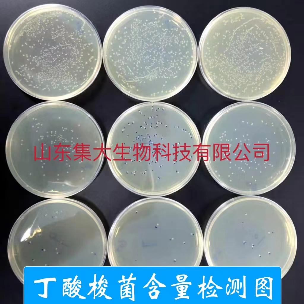 混合型飼料添加劑  液態丁酸梭菌